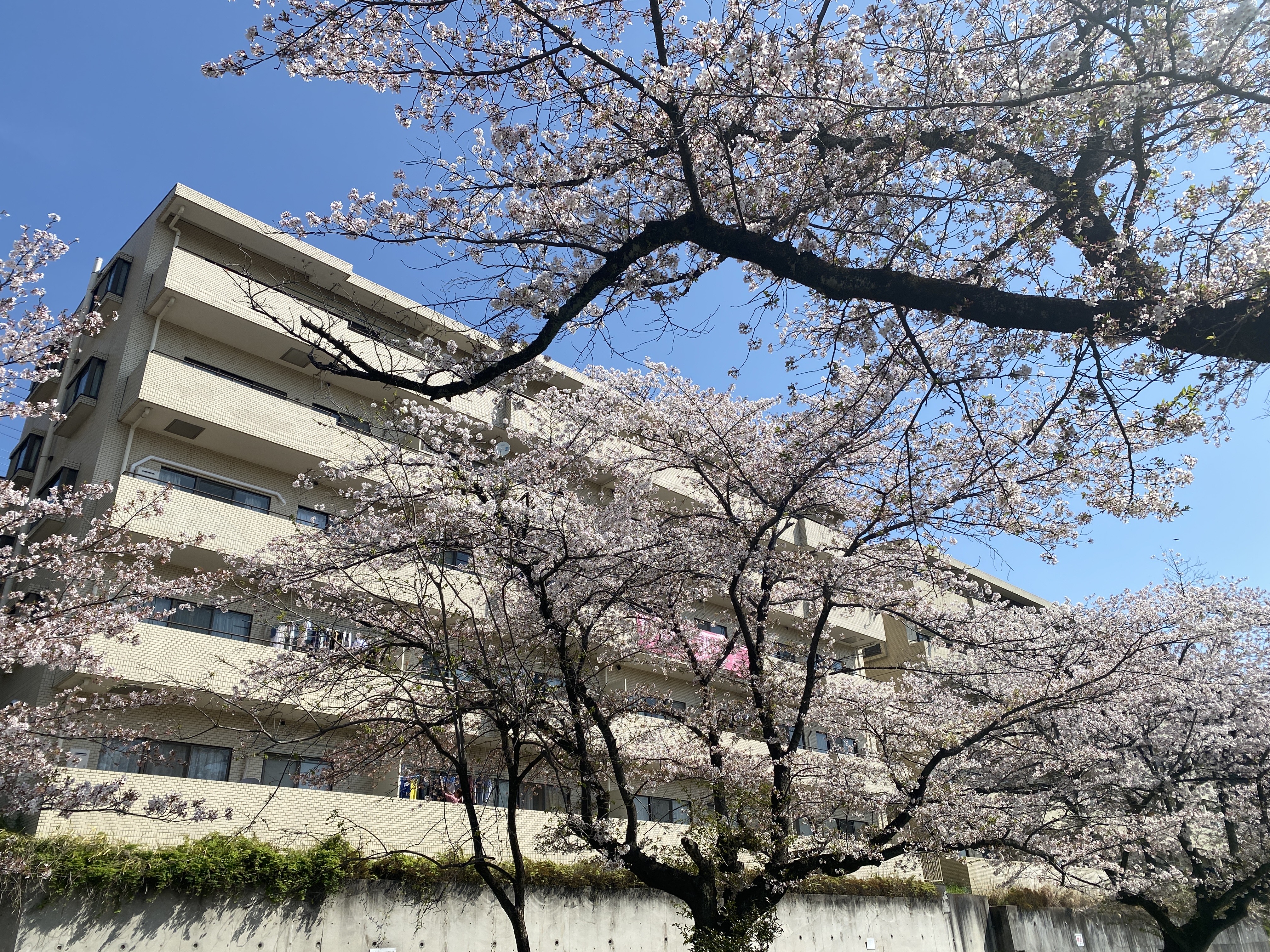 バルコニーからの景色がオススメ！な物件紹介
